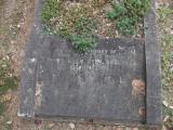 image of grave number 264211